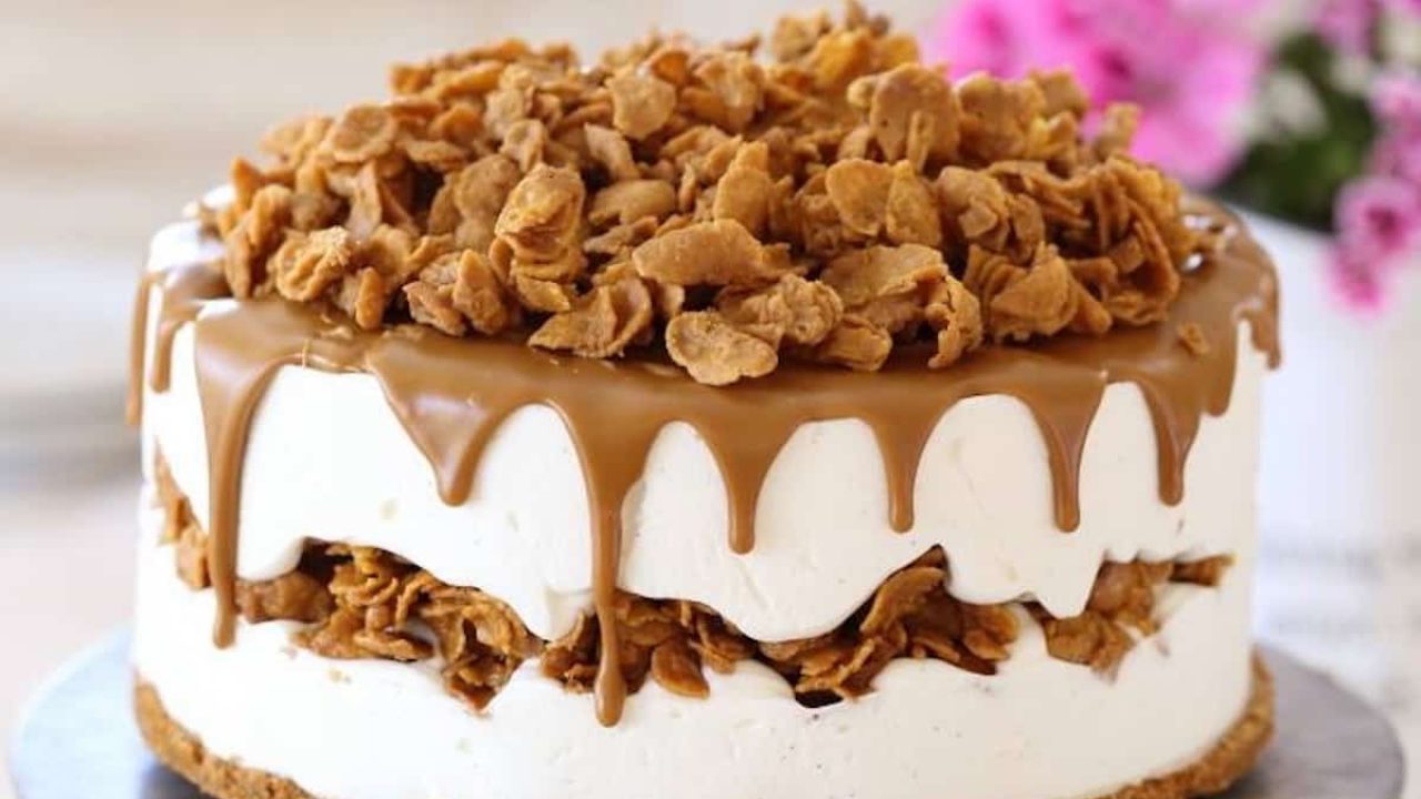 Gateau Fraicheur Glace Au Mascarpone Et Speculoos Un Vrai Regal Recette Facile