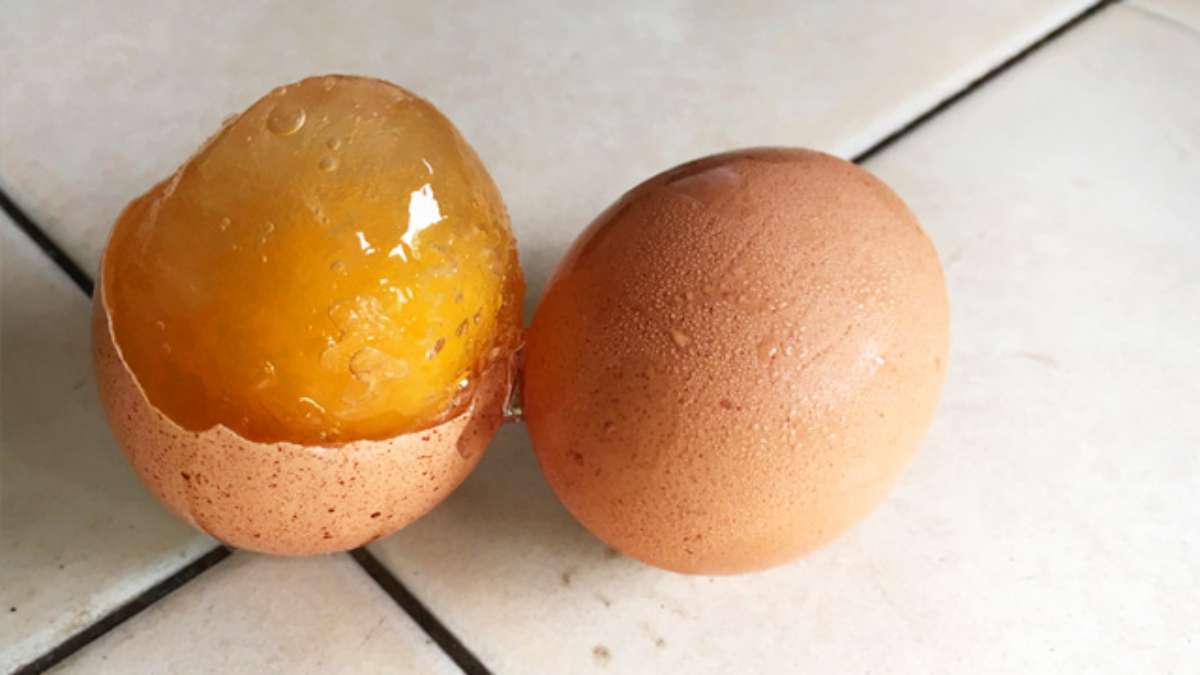 La bonne et meilleure manière pour congeler vos œufs !